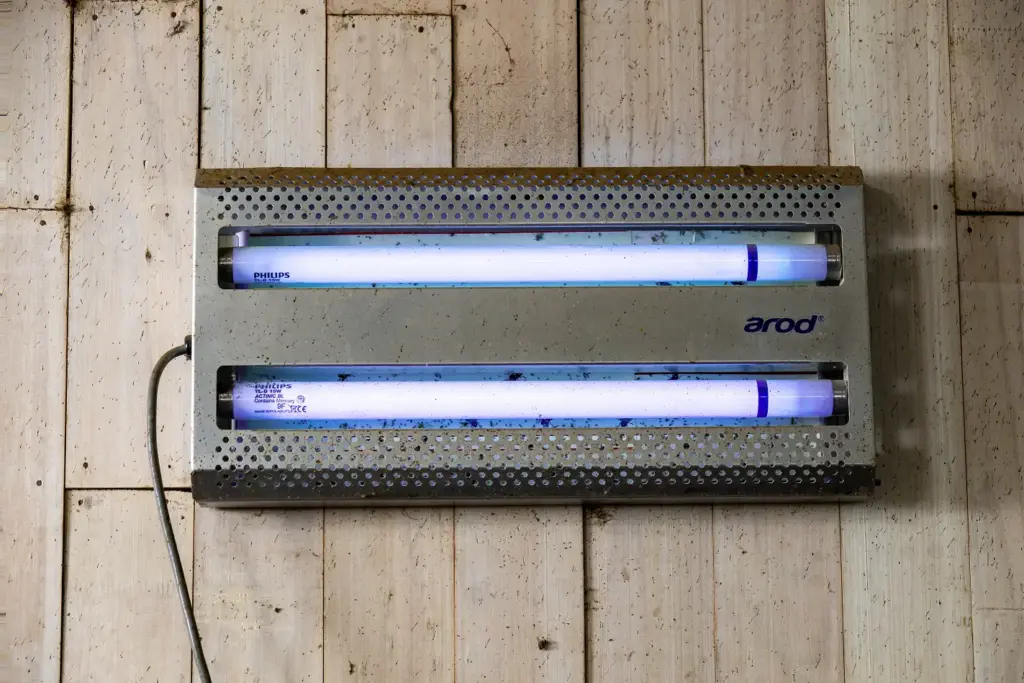 Luz ultravioleta de control de plagas de insectos